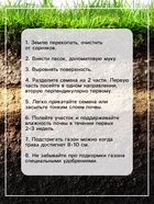 Газонная травосмесь "Газон для ленивых", 1 кг 4383077 - фото 14653762