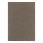 Картон "Жемчужная бронза" формат А-4 - Фото 2