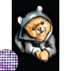 Алмазная мозаика с частичным заполнением «Собачка в костюме» 20х30 см на холсте - фото 806720067