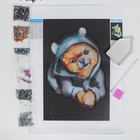 Алмазная мозаика с частичным заполнением «Собачка в костюме» 20х30 см на холсте - фото 804149265