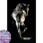 Алмазная мозаика с частичным заполнением «Грациозная лошадь» 20х30 см на холсте - фото 8822791
