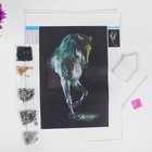 Алмазная мозаика с частичным заполнением «Грациозная лошадь» 20х30 см на холсте - Фото 3