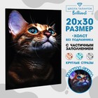 Алмазная мозаика с частичным заполнением «Взгляд кошки» 20х30 см, на холсте - фото 8822812