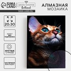 Алмазная мозаика с частичным заполнением на холсте «Взгляд кошки», 20×30 см - Фото 1
