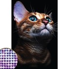 Алмазная мозаика с частичным заполнением на холсте «Взгляд кошки», 20 х 30 см - Фото 2