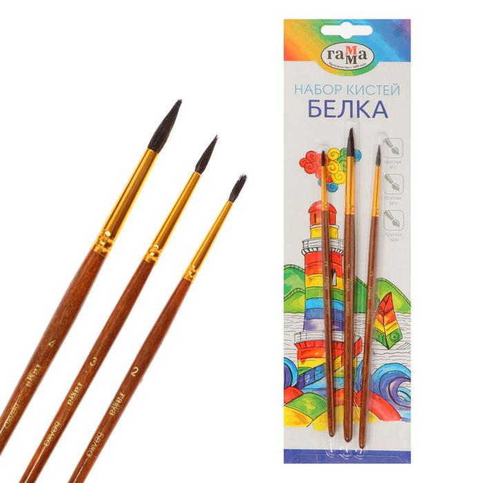 

Набор кистей "Белка", 3 штуки круглые, № 2,3,4 блистер