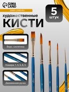 Набор кистей для рисования, синтетика, 5 штук: № 1, 3, 5 (круглые), № 5, 8 (плоские), «Гамма», круглые, плоские - Фото 1