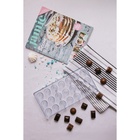 Форма для конфет и шоколада KONFINETTA «Конфетти», пластик, 27.5×13.5 см, 21 ячейка, прозрачная - Фото 10