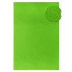 Войлок для творчества "Ассорти" формат А4 (набор 10 листов) - Фото 1