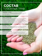 Газонная травосмесь «Быстрый газон», 10 кг - Фото 2