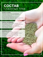 Газонная травосмесь «Гринкипер» «Спортивная», 10 кг - Фото 2