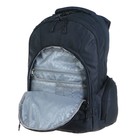 Рюкзак молодёжный, 48 х 36 х 19 см, Grizzly 903, эргономичная спинка, чёрный RQ-903-2 - фото 9558410