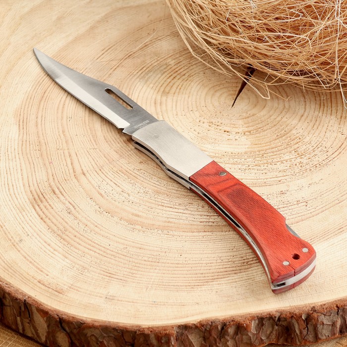 Нож складной "Армагедон" 24,7см, клинок 107мм/1мм, рукоять дерево - фото 1906767434