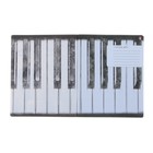 Тетрадь 48 листов в клетку MUSIC. BLACK&WHITE, обложка мелованный картон, пластизоль, блок 70 г/м2, МИКС - Фото 3