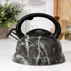 Чайник со свистком из нержавеющей стали Доляна «Эшфорд», 2,8 л - фото 318195993