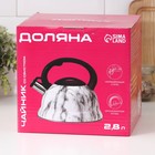 Чайник со свистком из нержавеющей стали Доляна «Эшфорд», 2,8 л - фото 24331195
