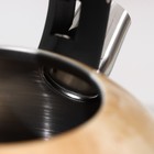 Чайник со свистком из нержавеющей стали Доляна «Скоттиш», 2,8 л - фото 8465168