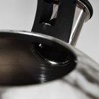 Чайник со свистком из нержавеющей стали Доляна «Каррар», 2,8 л - фото 8465176