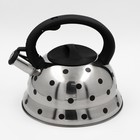 Чайник со свистком из нержавеющей стали Доляна «Горошек», 2,8 л, цвет хромированный - фото 8465183