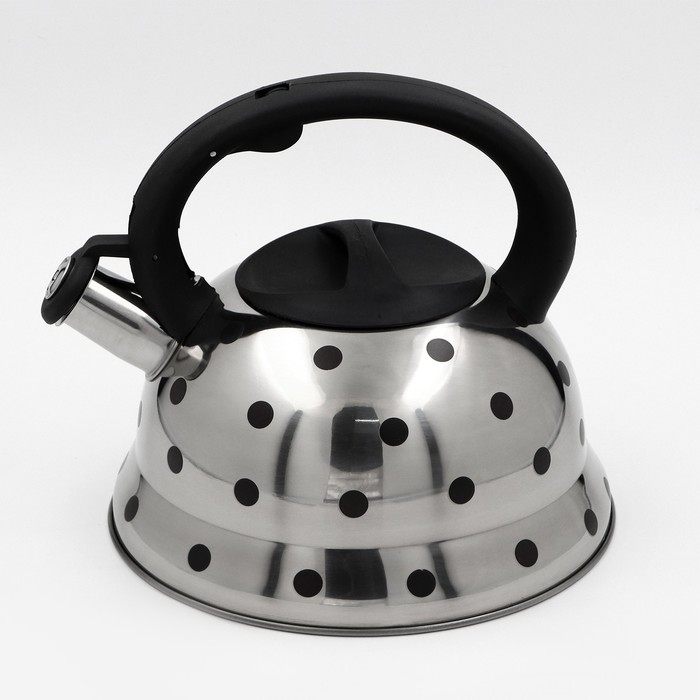 Чайник со свистком из нержавеющей стали Доляна «Горошек», 2,8 л, цвет хромированный - Фото 1