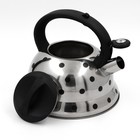Чайник со свистком из нержавеющей стали Доляна «Горошек», 2,8 л, цвет хромированный - фото 8465184