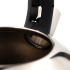Чайник со свистком из нержавеющей стали Доляна «Горошек», 2,8 л, цвет хромированный - фото 8465185