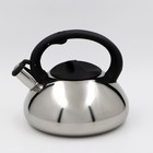 Чайник со свистком из нержавеющей стали Доляна «Блеск», 2,8 л, цвет хромированный - фото 318196015