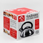 Чайник со свистком Доляна «Блеск», 2.8 л, нержавеющая сталь, хромированный - Фото 5