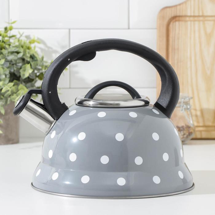 Чайник со свистком из нержавеющей стали Доляна «Горошек», 2,8 л, цвет серый - Фото 1