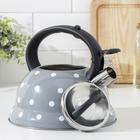 Чайник со свистком из нержавеющей стали Доляна «Горошек», 2,8 л, цвет серый - фото 24181292