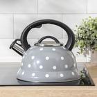 Чайник со свистком из нержавеющей стали Доляна «Горошек», 2,8 л, цвет серый - фото 24181295
