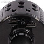 Микрофон для караоке Luazon LZZ-56, WS-858, 1800 мАч, чёрный 3916281 - фото 8848750