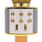 Микрофон для караоке Luazon LZZ-56, WS-858, 1800 мАч, жёлтый - Фото 4