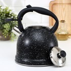 Чайник со свистком «Блэк», 3 л, капсулированное дно, индукция, цвет МИКС - Фото 2
