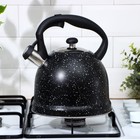 Чайник со свистком «Блэк», 3 л, капсулированное дно, индукция, цвет МИКС - Фото 5