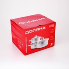 Набор кастрюль Доляна «Сильве», 3 предмета: 1.6 л, 2.3 л, 3.2 л, нержавеющая сталь - Фото 6