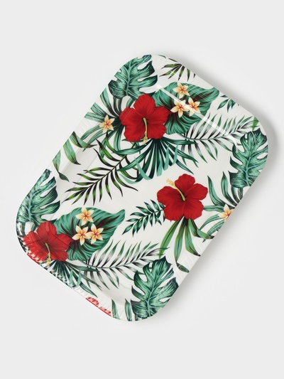 Поднос прямоугольный Доляна «Самобранка», 30×21×1.8 см, пластик, рисунок МИКС