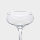 Набор стеклянных бокалов для шампанского Bistro, 260 мл, 3 шт - фото 4622379