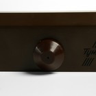 Доводчик дверной ТУНДРА d=60BR, до 60 кг, коричневый - Фото 11