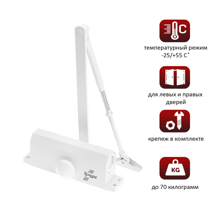 Доводчик дверной ТУНДРА D100WW TD, до 100 кг, белый - Фото 1