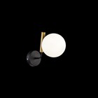 Бра Paolina 1x40Вт E14 чёрный - Фото 1
