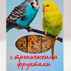 Палочки Seven Seeds для попугаев, тропические фрукты, 3 шт, 90 г - Фото 3