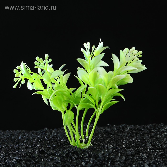 Растение искусственное аквариумное, до 11,5 см - Фото 1