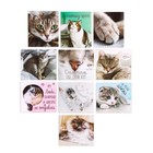 Набор наклеек «Дом там, где твой кот», 7 × 6 см - Фото 1