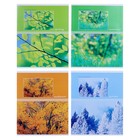 Тетрадь 48 листов в клетку Seasons, обложка хром-эрзац, серые листы, МИКС - Фото 1