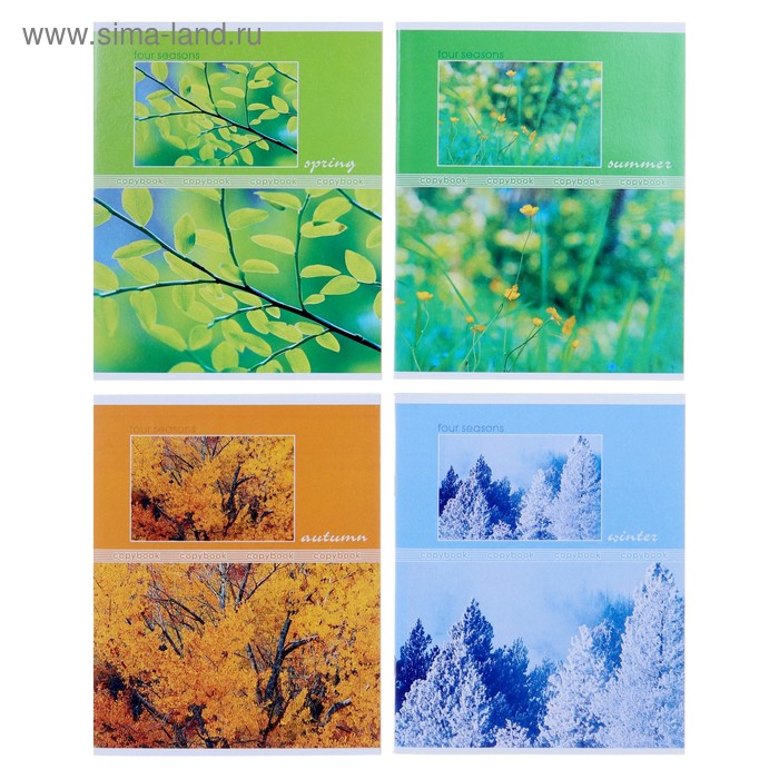 Тетрадь 48 листов в клетку Seasons, обложка хром-эрзац, серые листы, МИКС - Фото 1