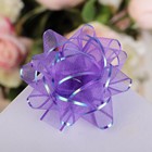 Подарочный Бант - звезда №7.5 «Золотая полоса», для упаковки подарков, набор 20 шт., МИКС - Фото 15