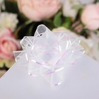 Подарочный Бант - звезда №7.5 «Золотая полоса», для упаковки подарков, набор 20 шт., МИКС - Фото 19