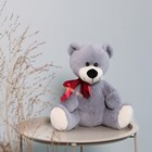 Мягкая игрушка «Медведь Мишаня», цвет серый, 32 см - Фото 4