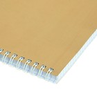 Тетрадь 96 листов в клетку на гребне "Золото. METALLIC", обложка бумвинил, блок офсет (комплект 3 шт) - фото 22446201